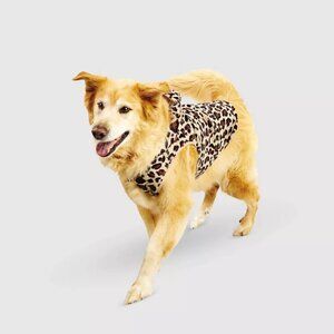 NEW Hyde & EEK! Boutique™ Halloween Leopard Dog and Cat Hoodie
